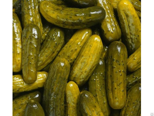 Pickle Cucumber