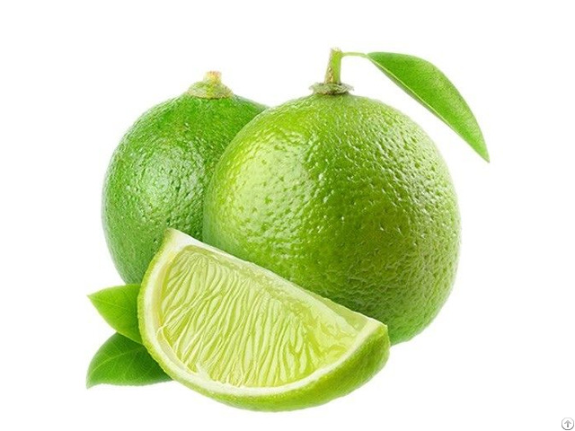 Fresh Seedless Lime