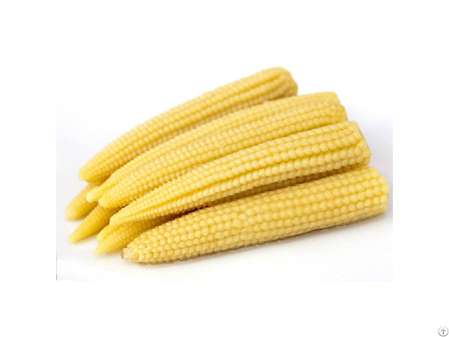 Vietnam Frozen Baby Corn