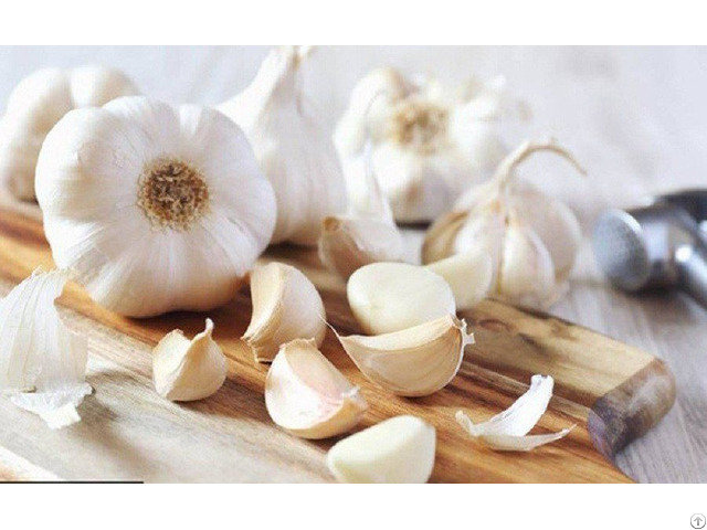 Natural Garlic From Viet Nam