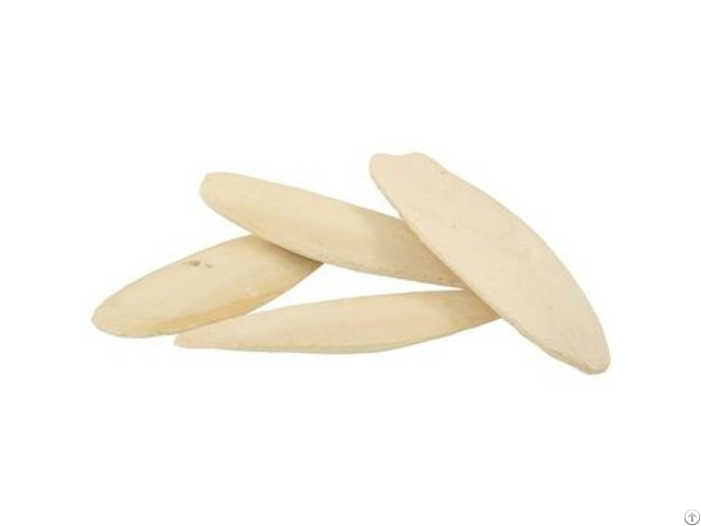 Dried Clean Washed Cuttlefish Bone