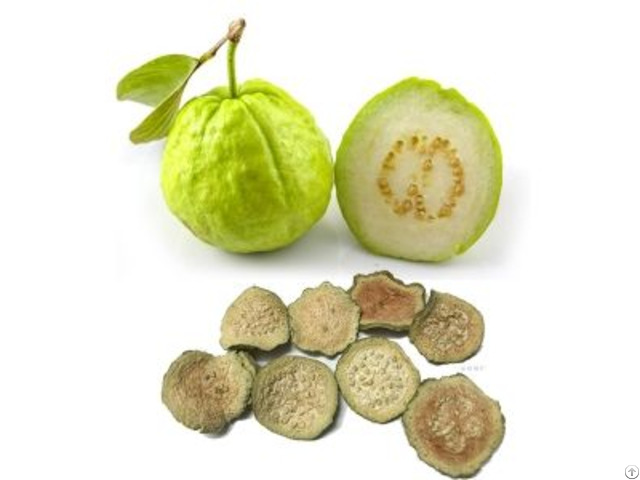 Vietnam Best Selling Natural Soft Dried Guava