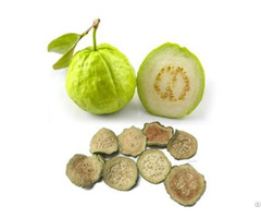 Vietnam Best Selling Natural Soft Dried Guava