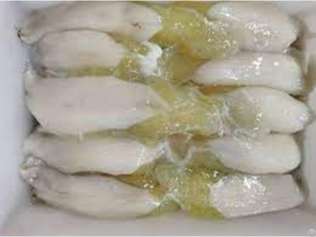 Frozen Squid Eggs From Vietnam