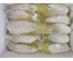 Frozen Squid Eggs From Vietnam