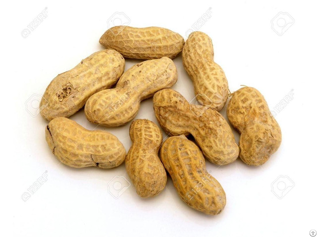 Natural Raw Peanuts Nutrition With Best Price