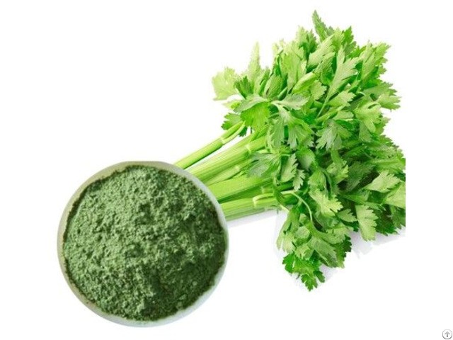 Best Quality Celery Powder