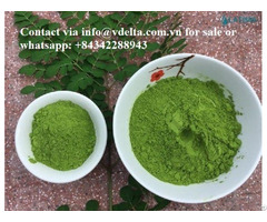 Vietnam Moringa Leaf Extract Powder