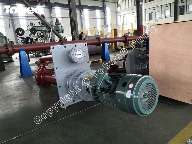 Tobee® Ty100 250 High Temperature Vertical Molten Salt Pumps