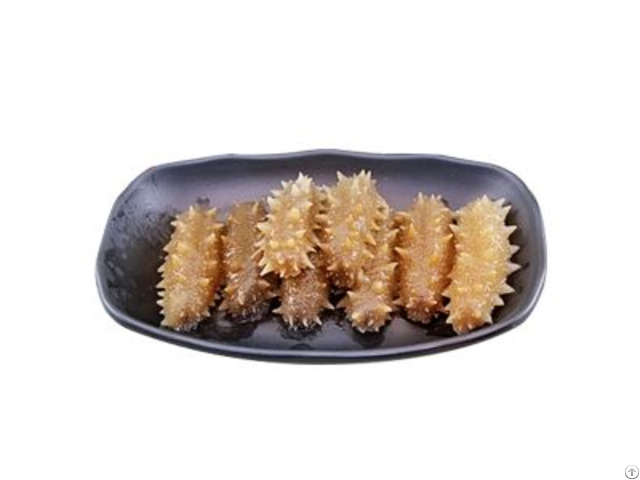 Dried Holothuria Tubulosa Sea Cucumber