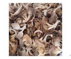 Dried Abalone Mushroom