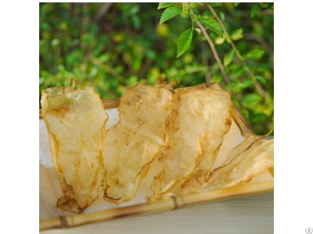 Dried Fish Maw From Vietnam