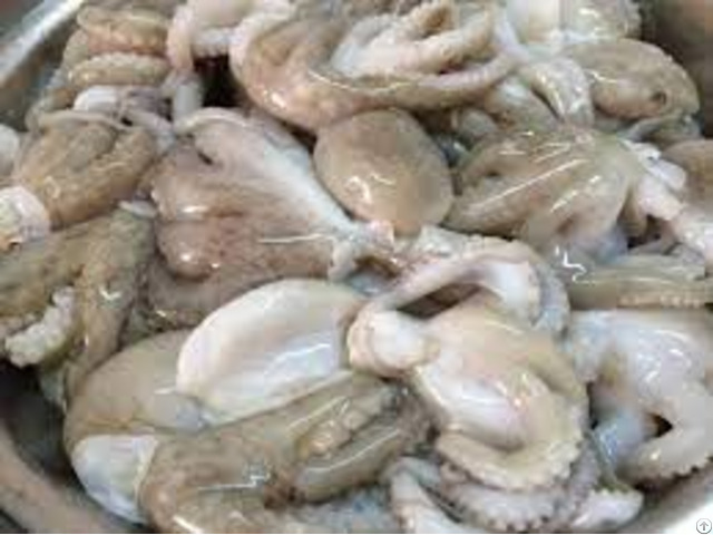 Hight Quality Frozen Octopus Fresh Seafood