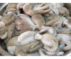 Hight Quality Frozen Octopus Fresh Seafood