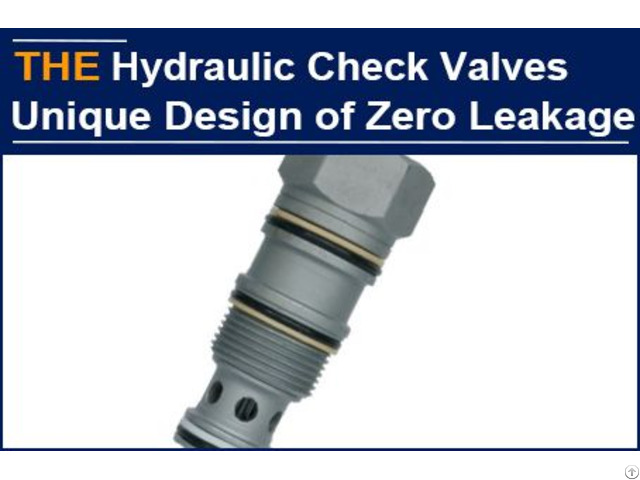 Hydraulic Check Valves Leakage Issue Troubled Cuenca，aak Solved It In 2 Months