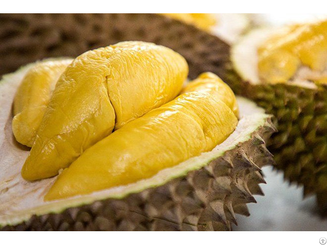 New Harvest Best Price Durian Ready To Export