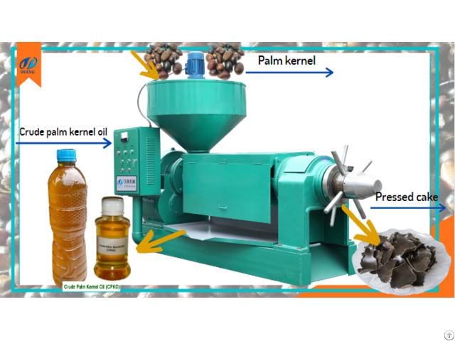 Factory Supply Palm Kernel Oil Extraction Machine