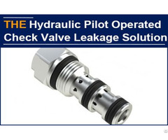 The Hydraulic Check Valve Has Been Running For More Than 1 Year Without Leakage