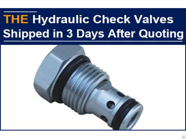 Aak Shipped The Urgent Order Of Hydraulic Check Valves In 3 Days