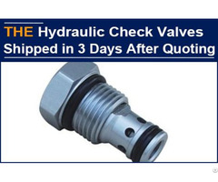 Aak Shipped The Urgent Order Of Hydraulic Check Valves In 3 Days