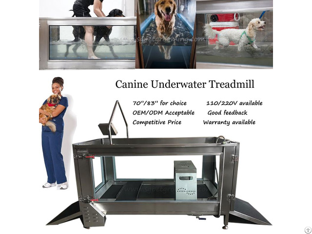 China Factory Canine Underwater Treadmill For Hydrotherapy And Rehab Service