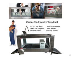 China Factory Canine Underwater Treadmill For Hydrotherapy And Rehab Service