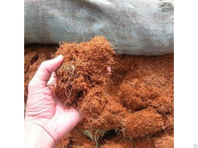 Coco Peat For Plantin