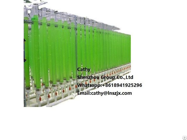 Algae Cultivation Pipeline Photobioreactor