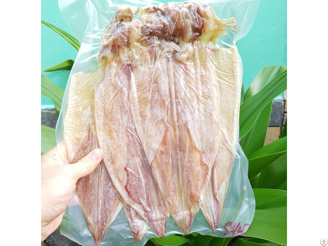 Dried Squid On September From Viet Nam