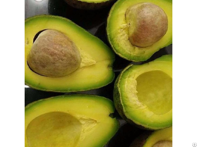 Fresh Avocados Fruit