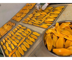 Dried Mango Vietnam
