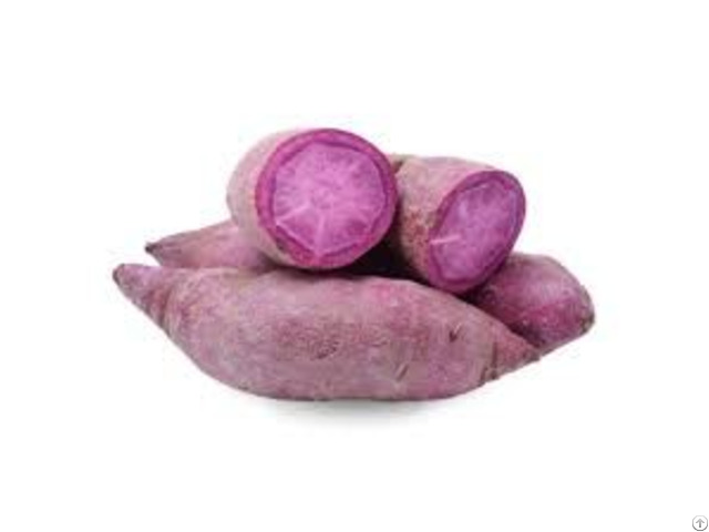 New Sale Purple Fresh Potatoes From Viet Nam