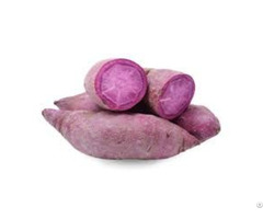 New Sale Purple Fresh Potatoes From Viet Nam