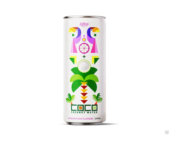 Coconut Water With Mangosteen Flavour 250ml Can