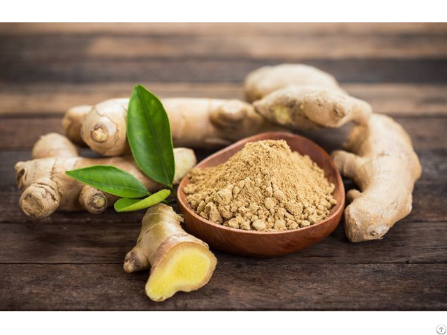 Ginger Powder Extract From Viet Nam