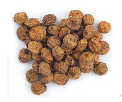 Tiger Nuts Wholesale Online