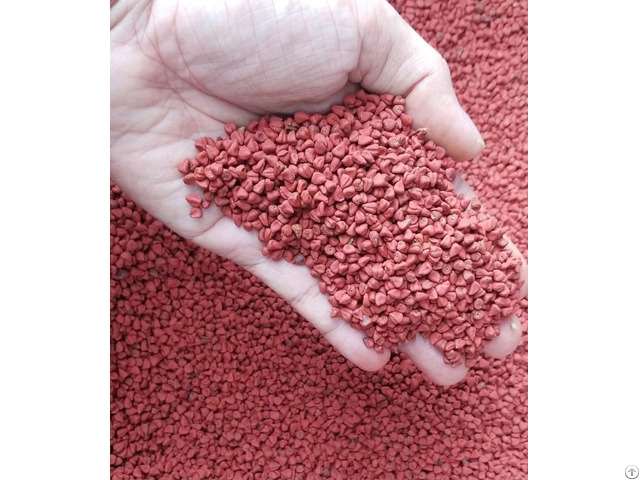 Exporter Annatto Seed