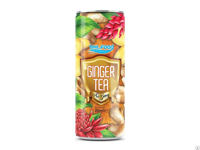 250ml Canned Hight Quality Ginger Tea Drink