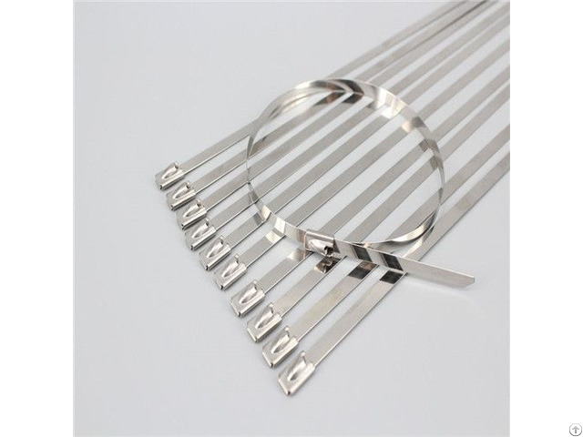 Stainless Steel Cable Ties