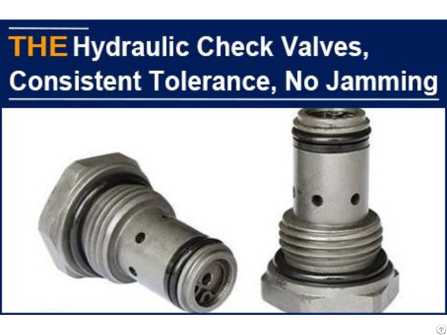 Only Aak Hydraulic Check Valve Impressed The American Customer