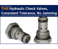 Only Aak Hydraulic Check Valve Impressed The American Customer