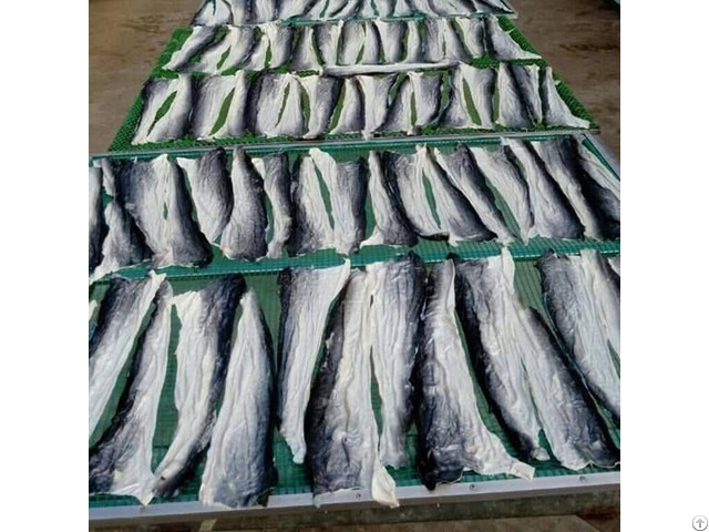 Pangasius Skin Dried Fish