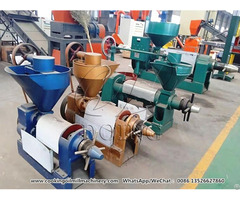 Hot Sale Cooking Oil Sunflower Seed Expller Extracting Machine