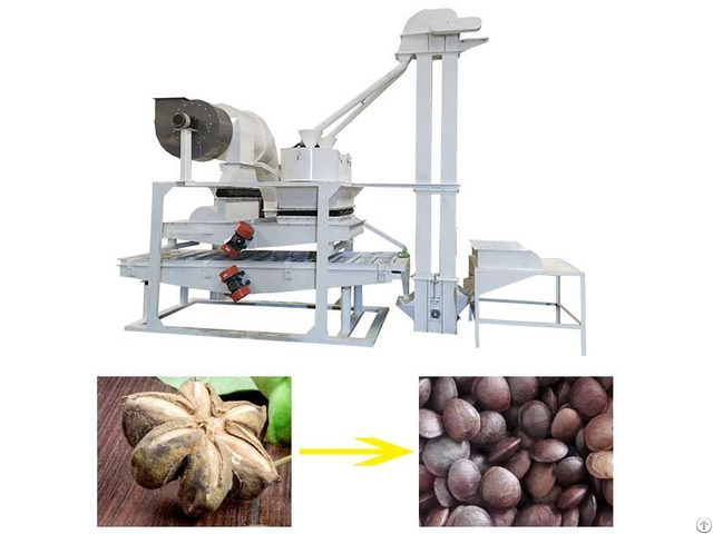 Sacha Inchi Shelling Machine Factory Price