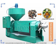 Palm Kernel Oil Processing Extracting Machine For Sale