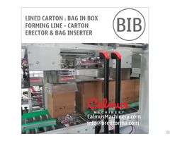 Case Erector And Bag Inserter For Forming Lined Carton