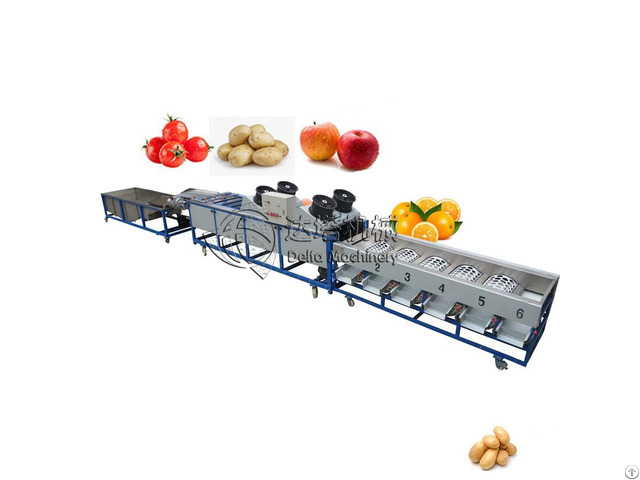 Citrus Lemon Orange Potato Mango Washing Drying Grading Machine