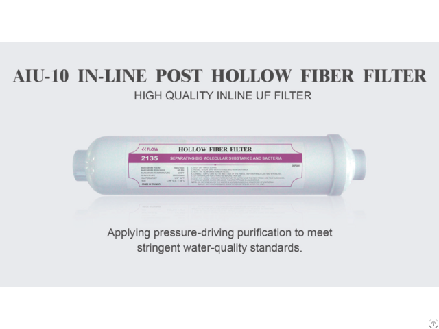 In Line Post Hollow Fiber Filter Aiu 10