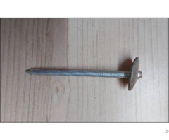 Galvanized Steel Wire Collated Roofing Nails