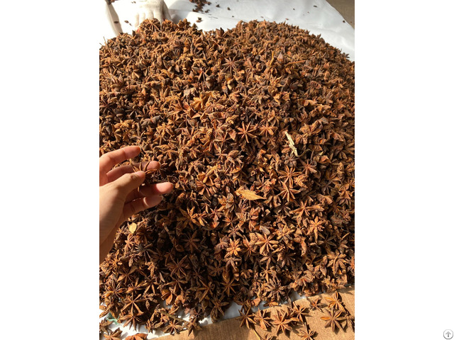 Viet Nam Dried Star Anise